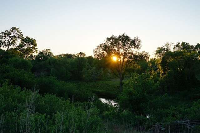 Creek Sun.jpg